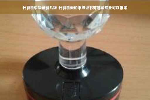 计算机中级证算几级-计算机类的中级证书有哪些专业可以报考