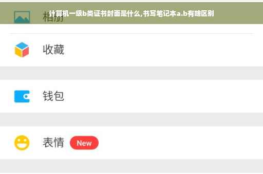 计算机一级b类证书封面是什么,书写笔记本a.b有啥区别