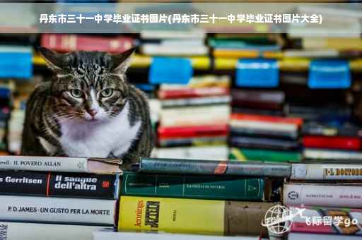 丹东市三十一中学毕业证书图片(丹东市三十一中学毕业证书图片大全)