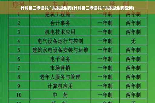 计算机二级证书广东发放时间(计算机二级证书广东发放时间查询)