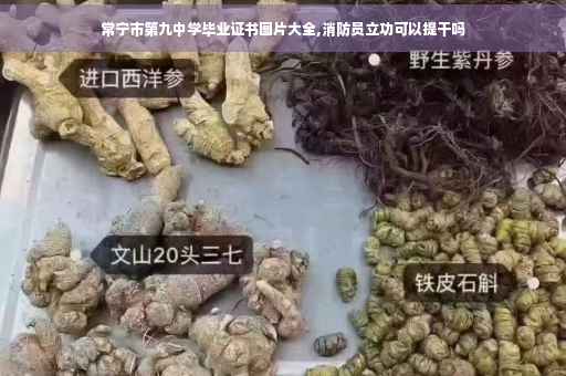 常宁市第九中学毕业证书图片大全,消防员立功可以提干吗
