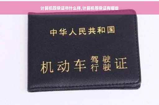 计算机四级证书什么样,计算机等级证有哪些
