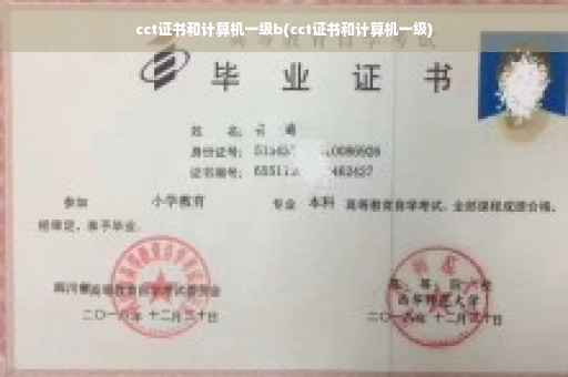 cct证书和计算机一级b(cct证书和计算机一级)