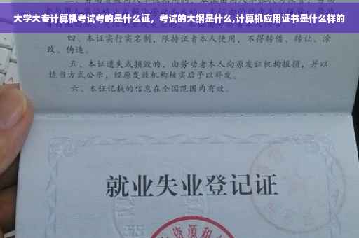 大学大专计算机考试考的是什么证，考试的大纲是什么,计算机应用证书是什么样的
