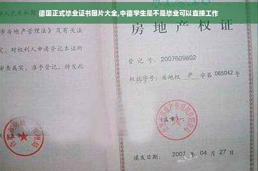 德国正式毕业证书图片大全,中德学生是不是毕业可以直接工作