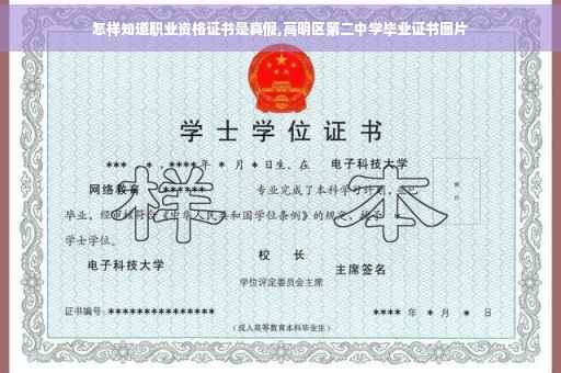 怎样知道职业资格证书是真假,高明区第二中学毕业证书图片