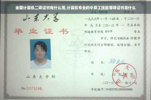 全国计算机二级证书有什么用,计算机专业的中级工技能等级证书是什么