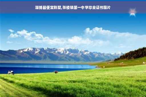 淄博最便宜别墅,张楼镇第一中学毕业证书图片