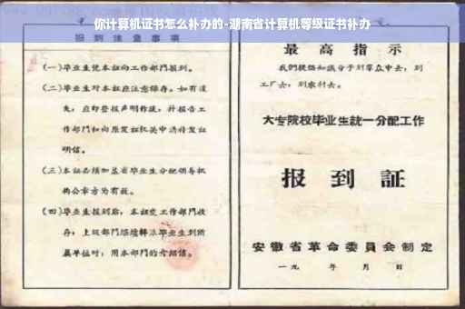 你计算机证书怎么补办的-湖南省计算机等级证书补办