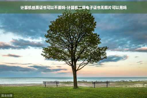 计算机纸质证书可以不要吗-计算机二级电子证书无照片可以用吗