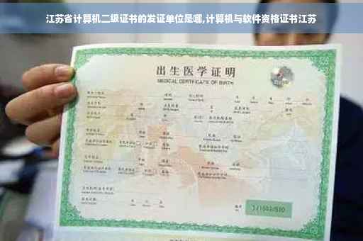 江苏省计算机二级证书的发证单位是哪,计算机与软件资格证书江苏
