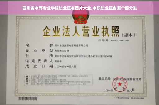 四川省中等专业学校毕业证书图片大全,中职毕业证由哪个部分发