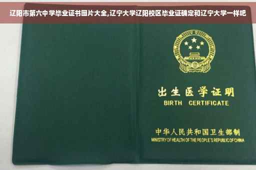 辽阳市第六中学毕业证书图片大全,辽宁大学辽阳校区毕业证确定和辽宁大学一样吧