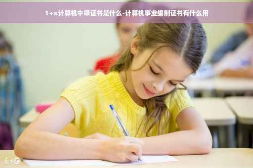 1+x计算机中级证书是什么-计算机事业编制证书有什么用