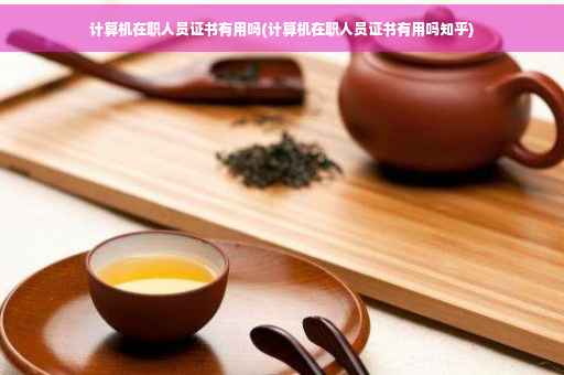 计算机在职人员证书有用吗(计算机在职人员证书有用吗知乎)