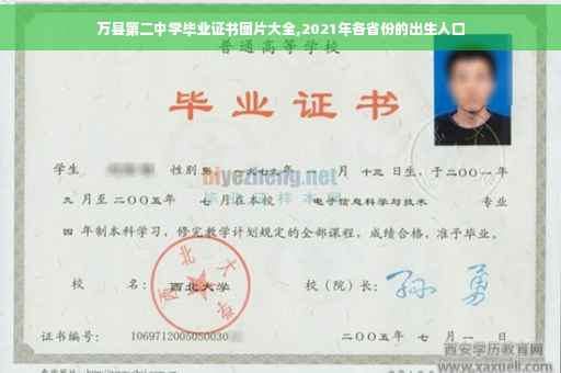万县第二中学毕业证书图片大全,2021年各省份的出生人口