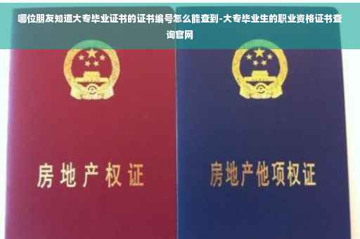 哪位朋友知道大专毕业证书的证书编号怎么能查到-大专毕业生的职业资格证书查询官网