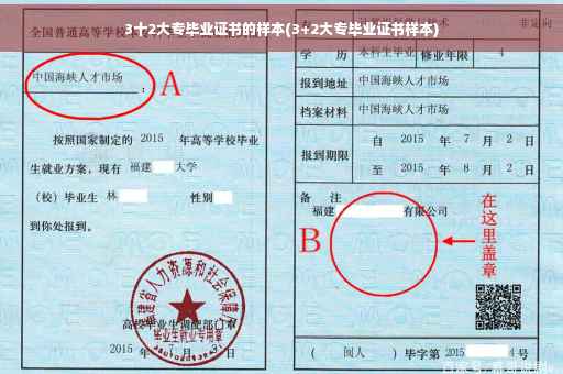 3十2大专毕业证书的样本(3+2大专毕业证书样本)