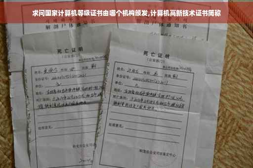 求问国家计算机等级证书由哪个机构颁发,计算机高新技术证书简称