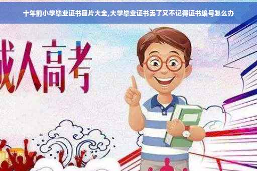 十年前小学毕业证书图片大全,大学毕业证书丢了又不记得证书编号怎么办