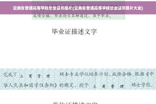 云南省普通高等学校毕业证书图片(云南省普通高等学校毕业证书图片大全)