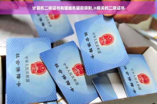 计算机二级证书有哪些名称和级别,it相关的二级证书