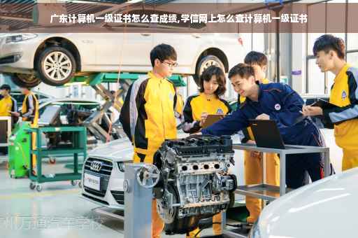 广东计算机一级证书怎么查成绩,学信网上怎么查计算机一级证书