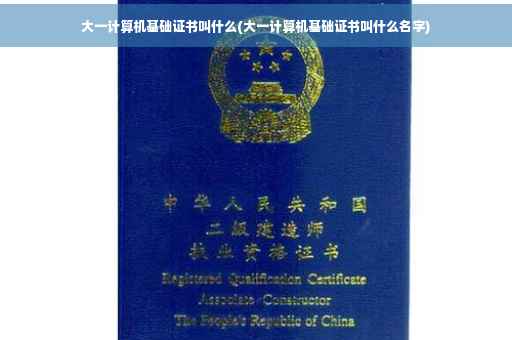 大一计算机基础证书叫什么(大一计算机基础证书叫什么名字)
