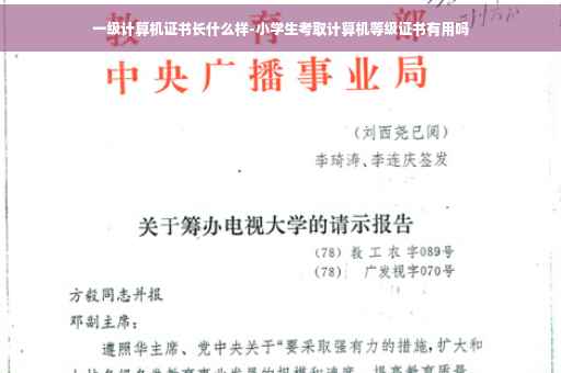 一级计算机证书长什么样-小学生考取计算机等级证书有用吗