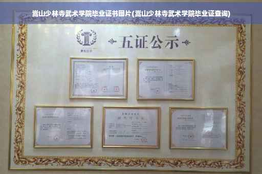嵩山少林寺武术学院毕业证书图片(嵩山少林寺武术学院毕业证查询)