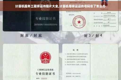 计算机服务工程师证书图片大全,计算机等级证证件号码忘了怎么办