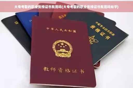大专考取的职业资格证书有用吗(大专考取的职业资格证书有用吗知乎)