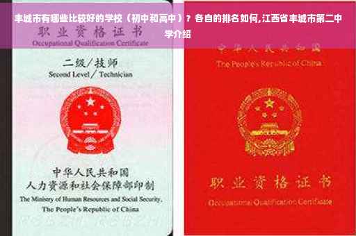 丰城市有哪些比较好的学校（初中和高中）？各自的排名如何,江西省丰城市第二中学介绍