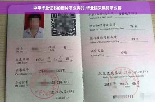 中学毕业证书的图片怎么弄的,毕业照采集码怎么得