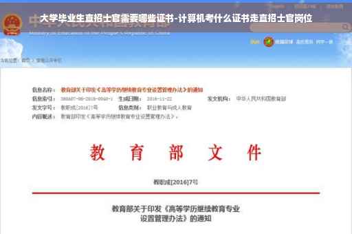 大学毕业生直招士官需要哪些证书-计算机考什么证书走直招士官岗位