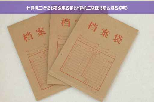 计算机二级证书怎么填名称(计算机二级证书怎么填名称呢)