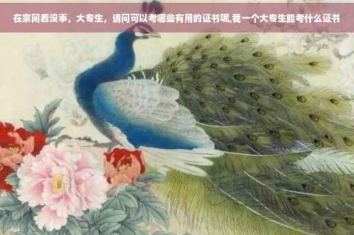 在家闲着没事，大专生，请问可以考哪些有用的证书呢,我一个大专生能考什么证书