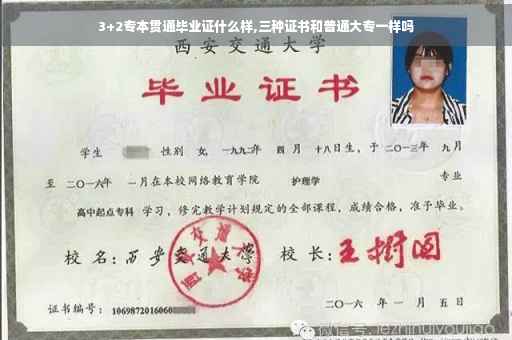 3+2专本贯通毕业证什么样,三种证书和普通大专一样吗 3+2专本贯通毕业证什么样,三种证书和普通大专一样吗