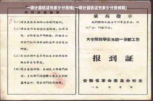一级计算机证书多少分及格(一级计算机证书多少分及格啊)
