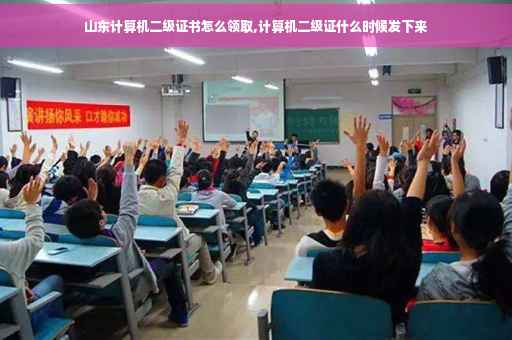 山东计算机二级证书怎么领取,计算机二级证什么时候发下来
