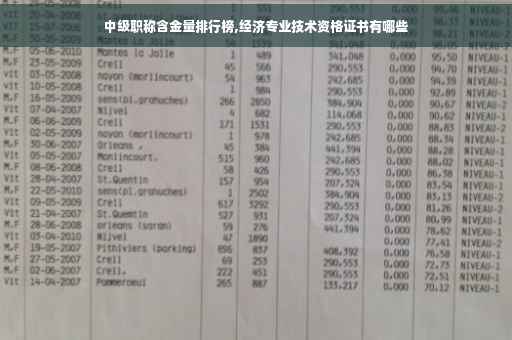 中级职称含金量排行榜,经济专业技术资格证书有哪些