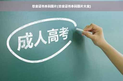 毕业证书本科图片(毕业证书本科图片大全)