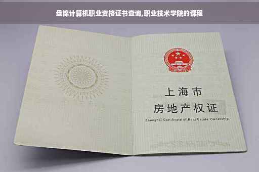 盘锦计算机职业资格证书查询,职业技术学院的课程