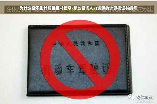为什么查不到计算机证书信息-怎么查询人力资源的计算机证书编号