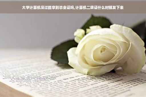 大学计算机没过能拿到毕业证吗,计算机二级证什么时候发下来