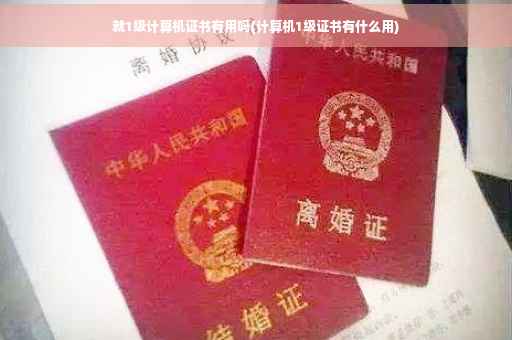 就1级计算机证书有用吗(计算机1级证书有什么用)