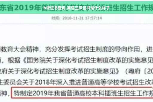 b级证书查询,英语三级证书是什么样子