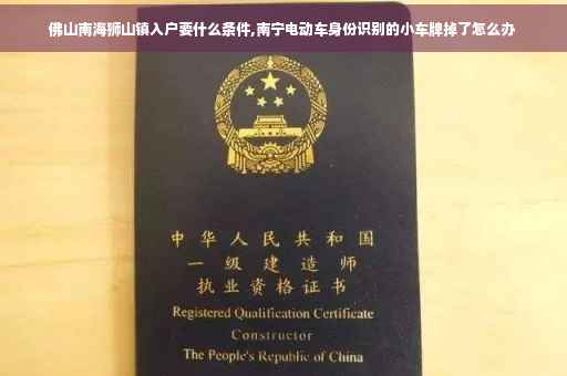 佛山南海狮山镇入户要什么条件,南宁电动车身份识别的小车牌掉了怎么办