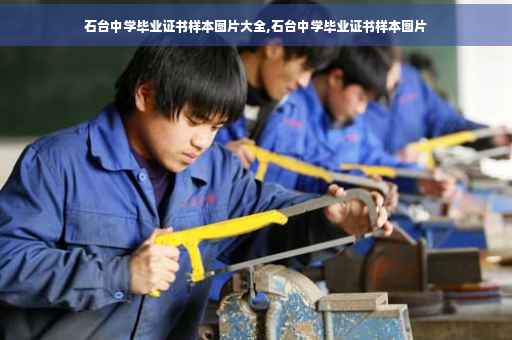 石台中学毕业证书样本图片大全,石台中学毕业证书样本图片