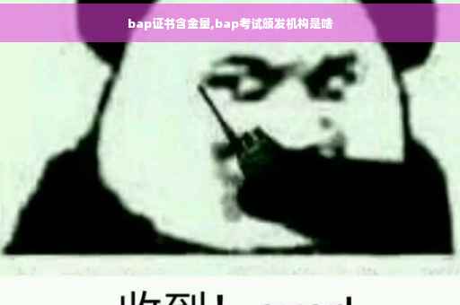 bap证书含金量,bap考试颁发机构是啥